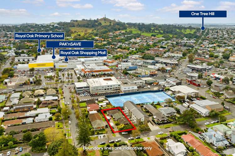 1/9 Erson Avenue Royal Oak_11