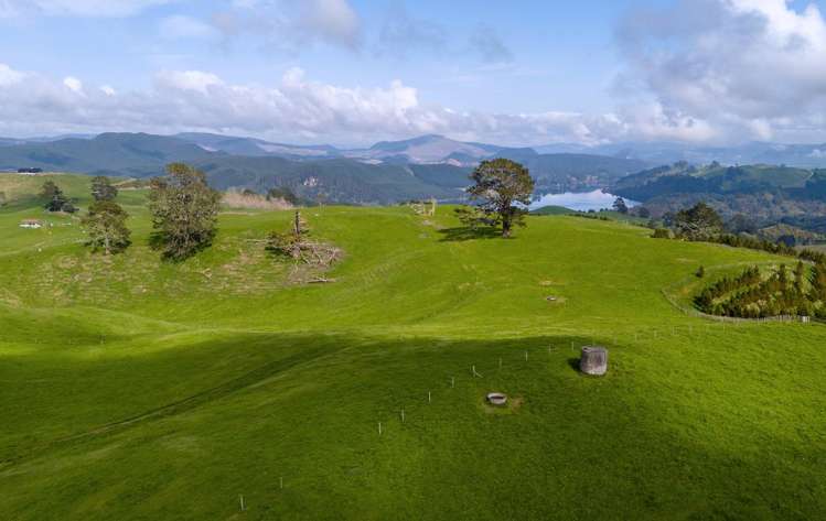 494B Dods Road Waikite Valley_23