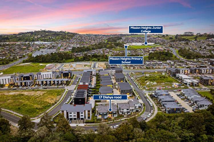 17 Dishys Road Flat Bush_18