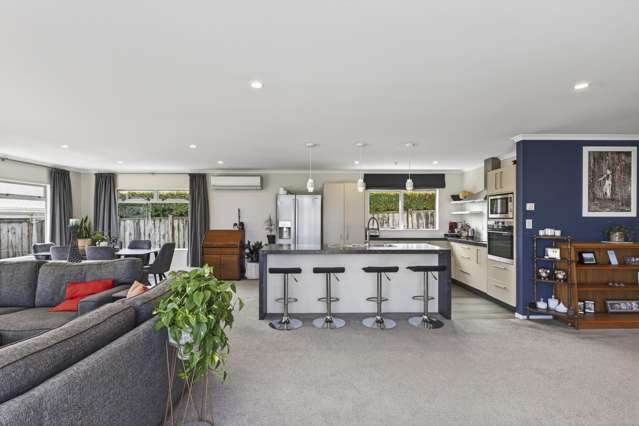 46 Dillon Drive Bell Block_4