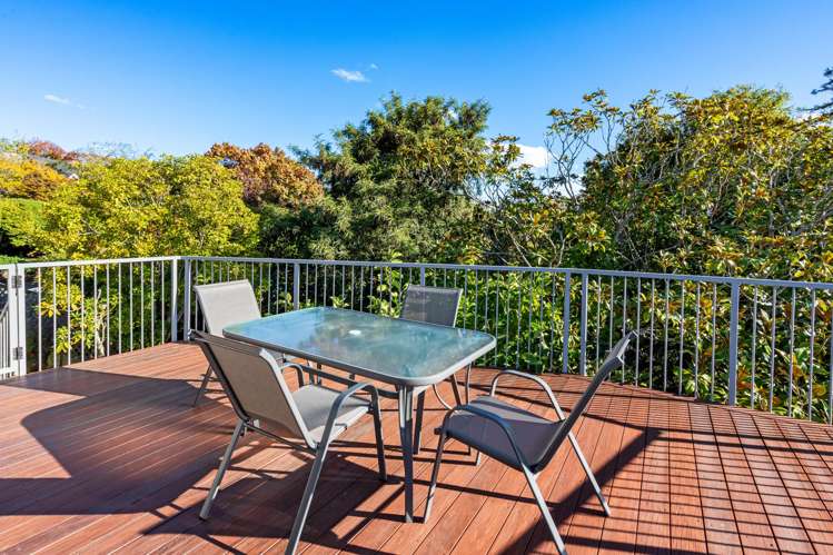 18a Hackthorne Road Cashmere_6