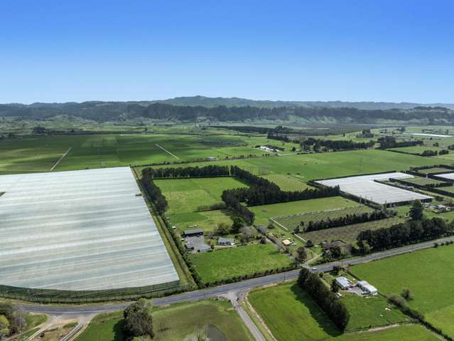 15.64ha Otakiri Finishing or Horticulture