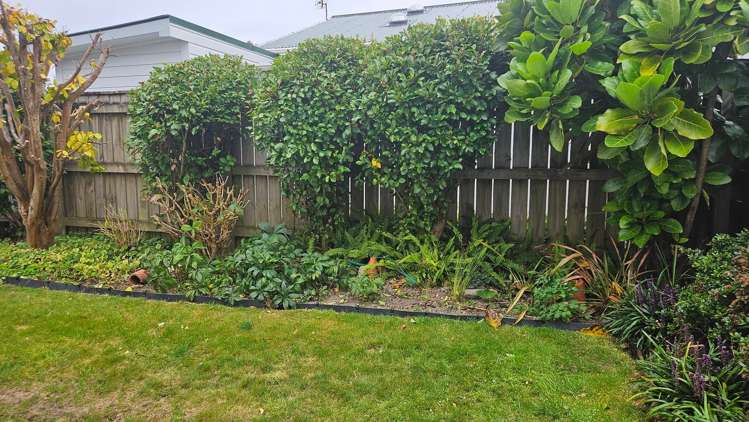 31B Bauchop Road Waterloo_19