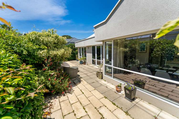 66d Tasman Street The Wood_13