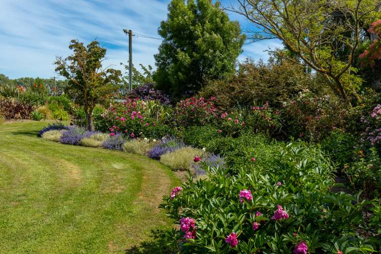 33 David Street Yelverton_14