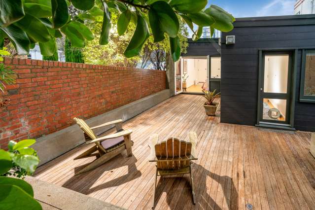 31 Aro Street Aro Valley_3