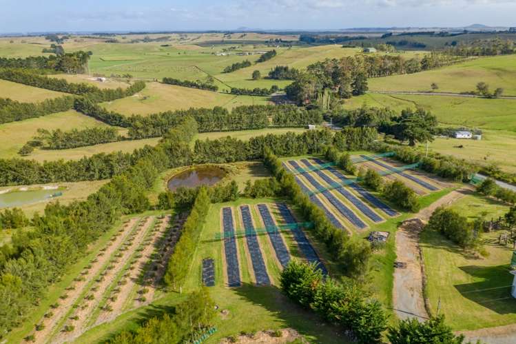 50 Simpson Road Karikari Peninsula_5