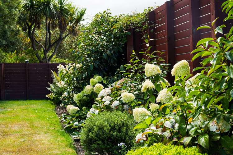 38 Islington Street North East Valley_25