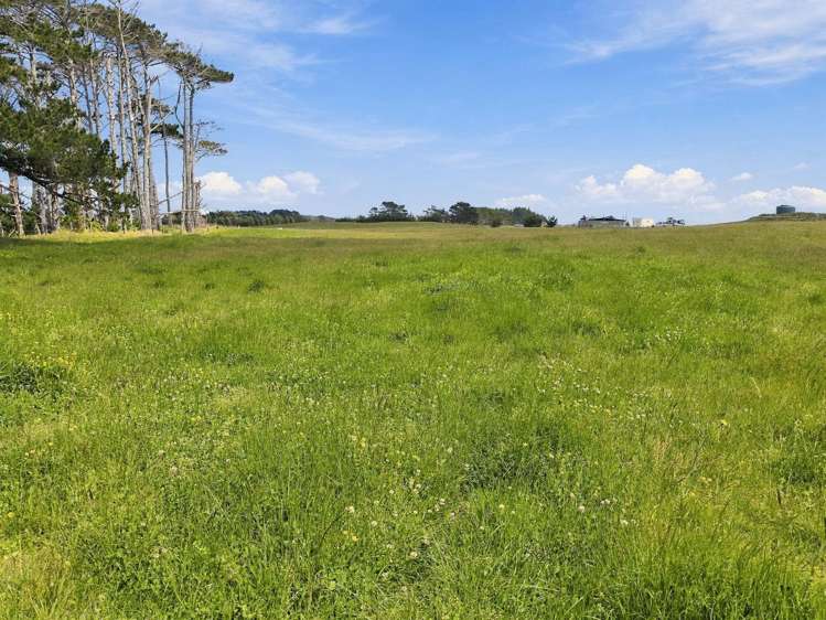 Mount Wesley Coast Road Dargaville_14