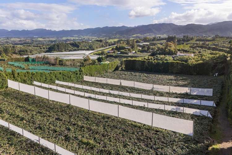 416 State Highway 2 Katikati_22