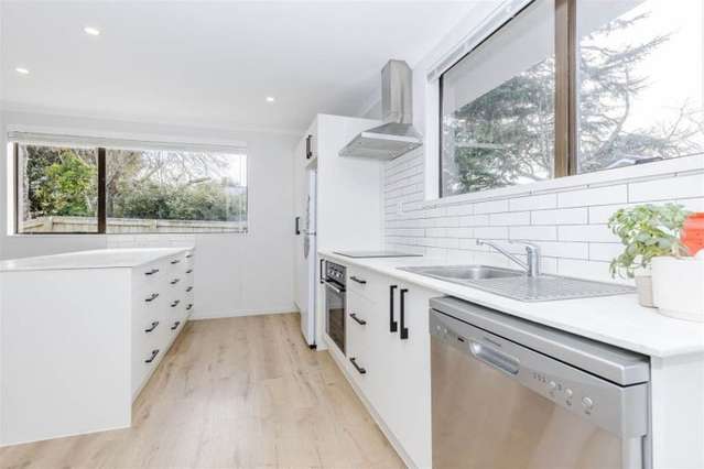 18A Whitmore Street Kihikihi_1