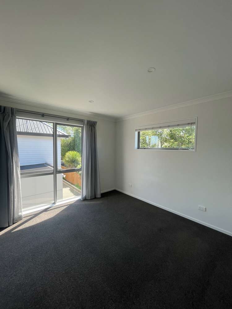 104a Hastings Street West Sydenham_4