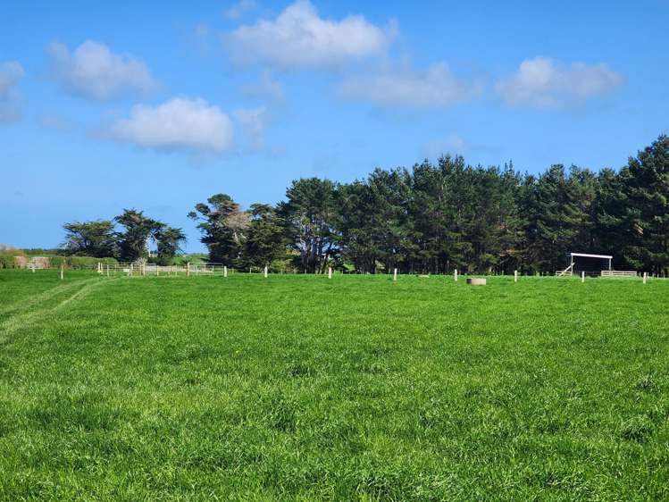 Ahipaipa Road Okaiawa_3