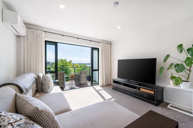 3L Laxon Terrace Remuera_1