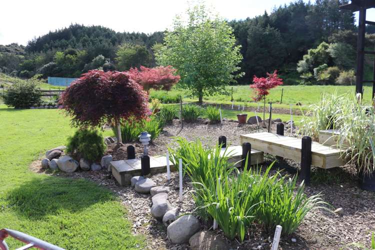 120 Walford Road Aongatete_5