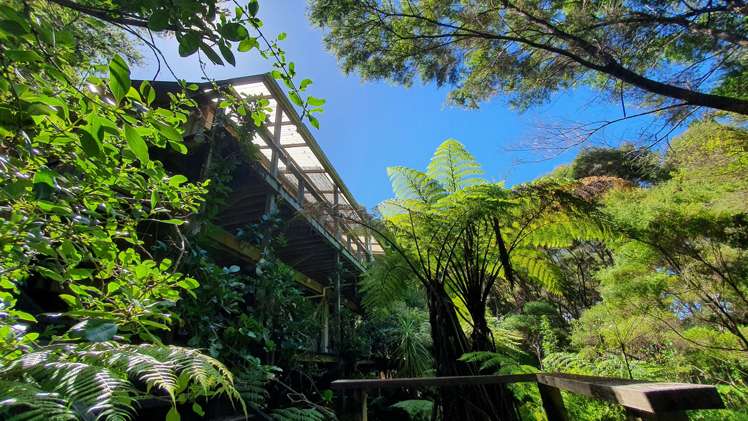 46 Schoolhouse Bay Road Kawau Island_16