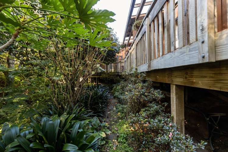 22a Collingwood Street Hokowhitu_5