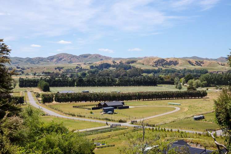 11 Manukawiri Way Martinborough_11