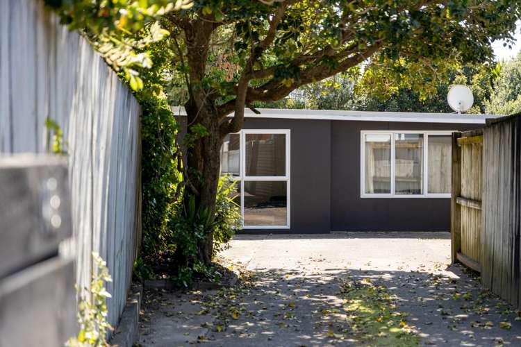 14B Taupo Avenue Mt Maunganui_19