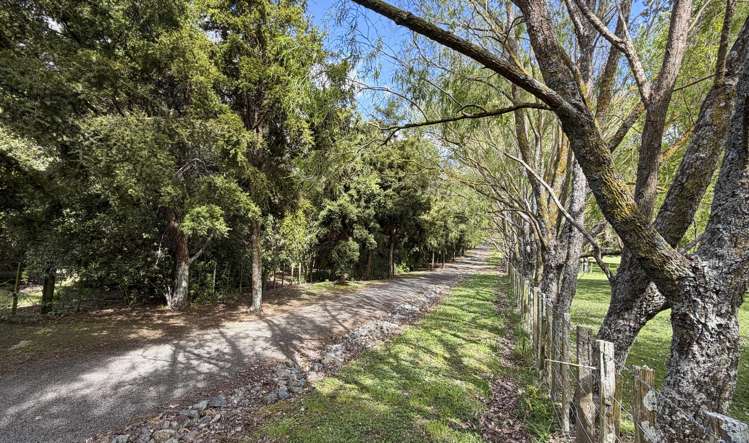 61 Turitea Road Fitzherbert_46