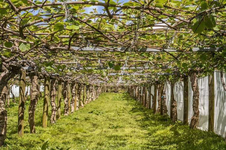 76 Pukakura Road Katikati_26