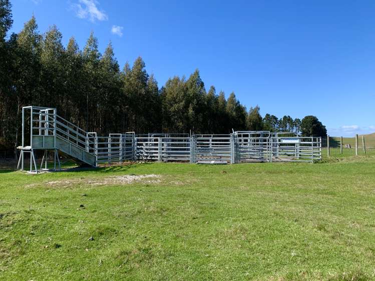 79 Patterson Road Flag Swamp_9