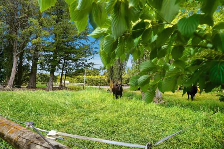 4 Mandalea Road Ohoka_40