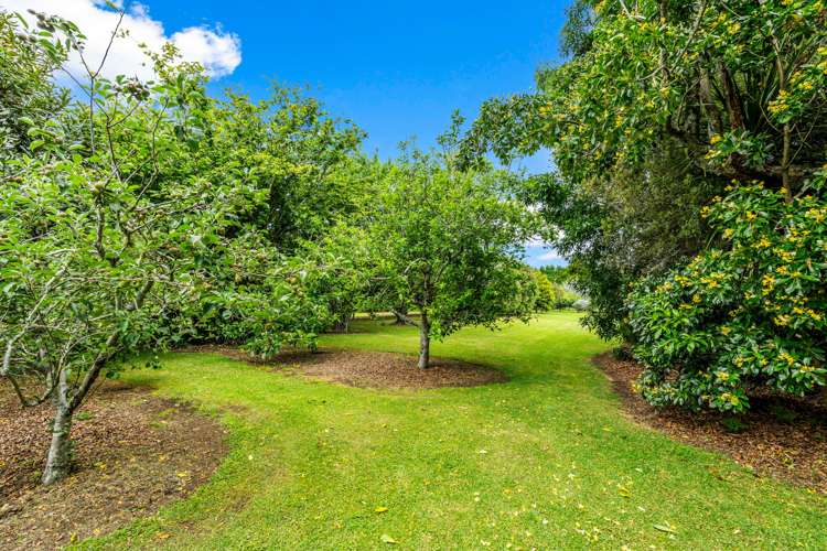 1322 State Highway 10 Kerikeri_30