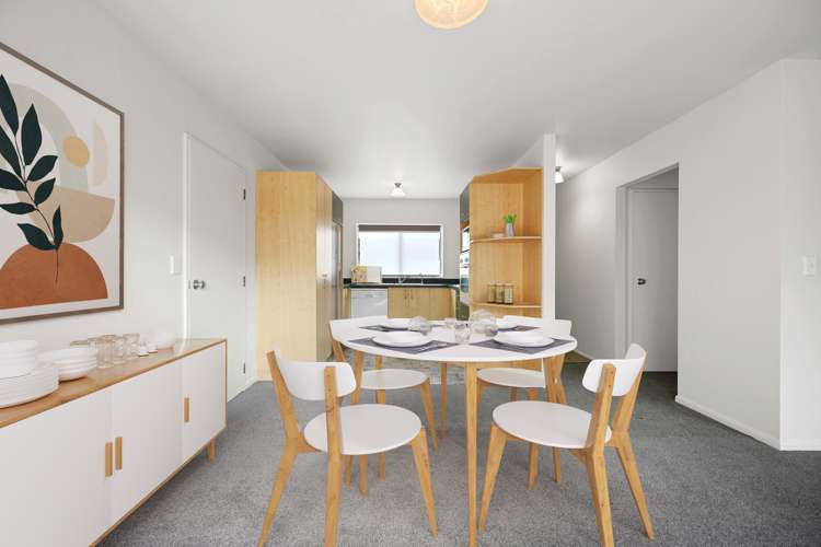 28a Maitland Street Frankton_3