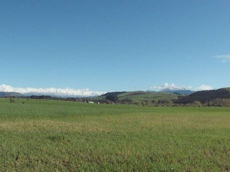 825 Opihi Road Pleasant Point_9