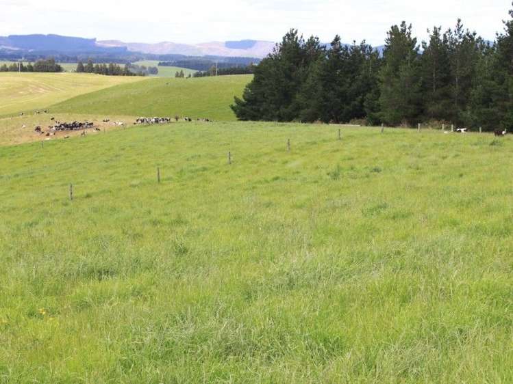 171 Hughes Road Palmerston_16