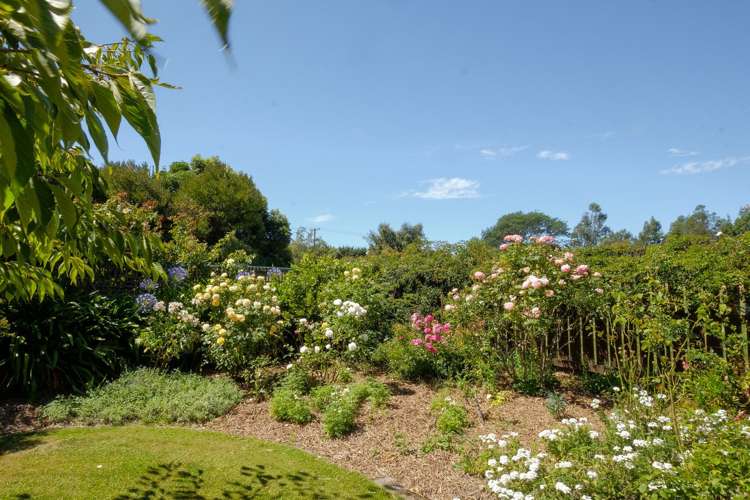 166 Amberley Beach Road Amberley_11