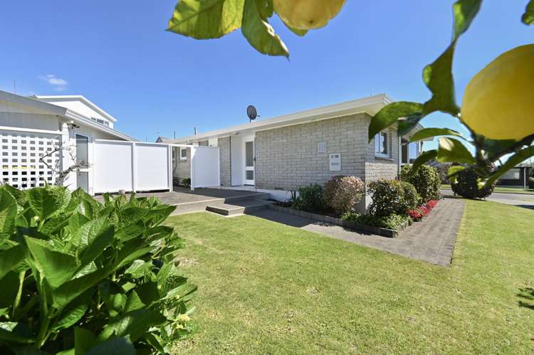 16 Mahoe Street Matua_16