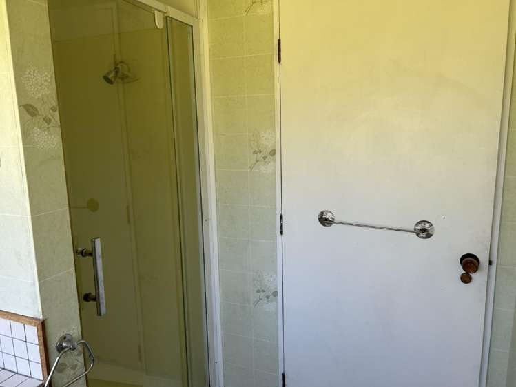 38 Buller Street 10728_11