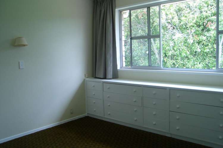 58 Oliver Street Kihikihi_2