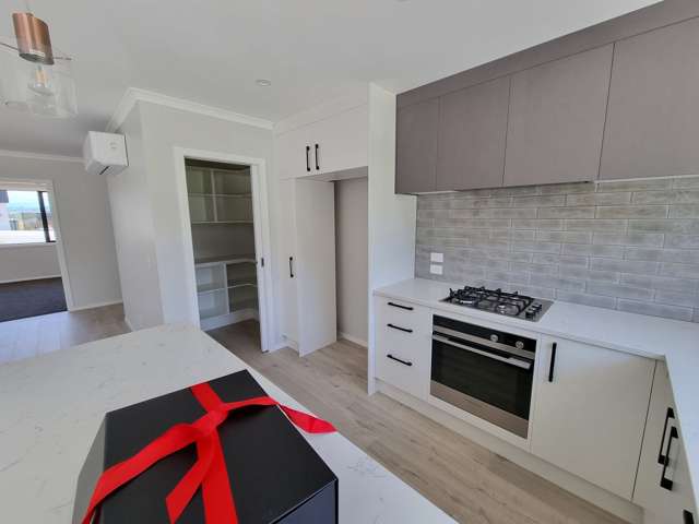 62 Hokioi Drive Porirua_3