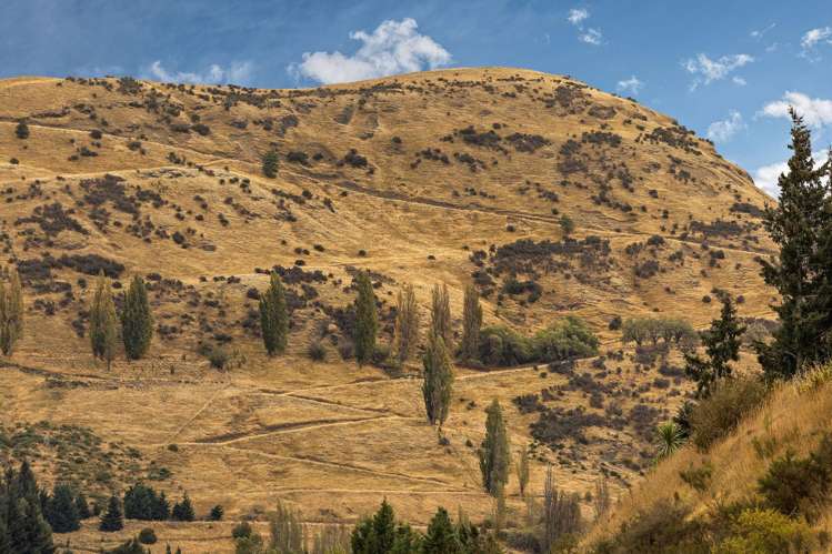 39 Walton Way Lower Shotover_15