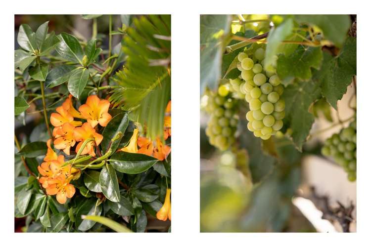 5 Damien Place Ohauiti_34