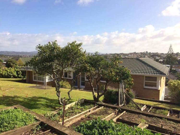 21 Wayne Place Mount Roskill_15