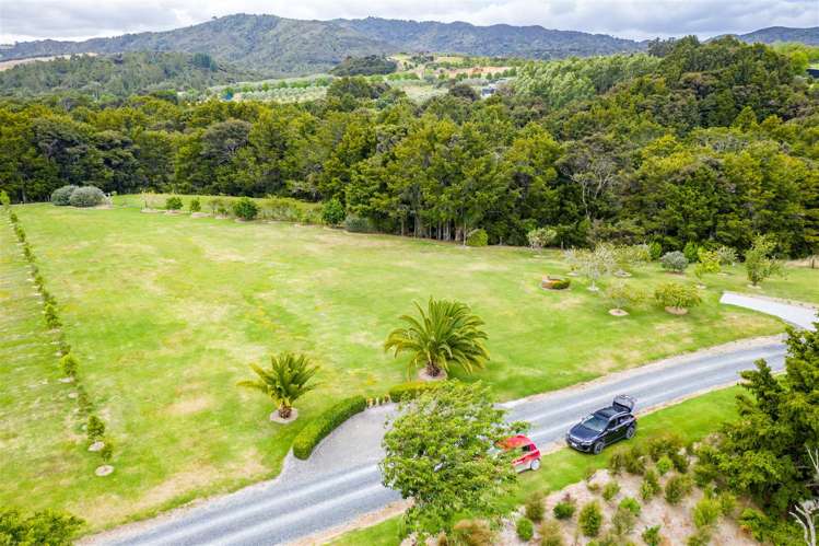 26 Bush Lane Mangawhai_6