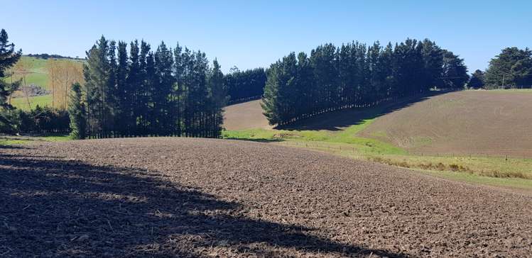 759 Adams Flat Road Balclutha_13