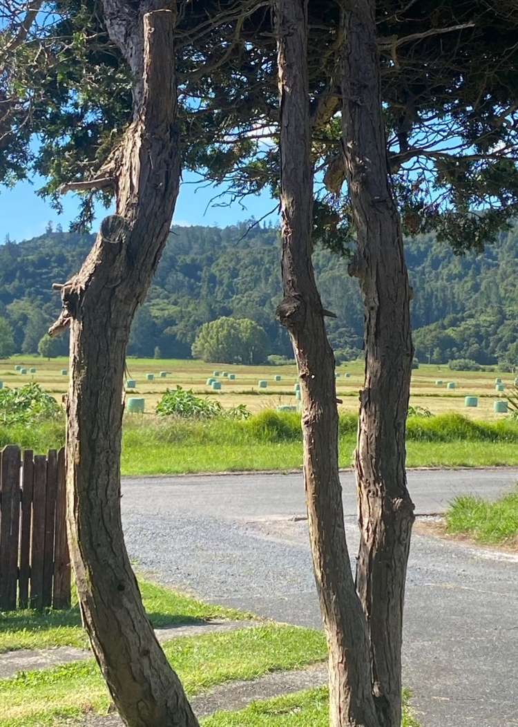 5/2 North Rd Kawakawa_19