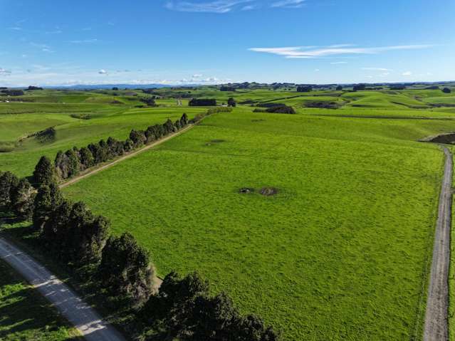 539. Mataura Island Fortrose Road Pine Bush_4