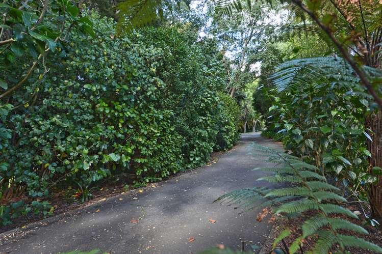 91 Pipiwai Road Ngararatunua_24