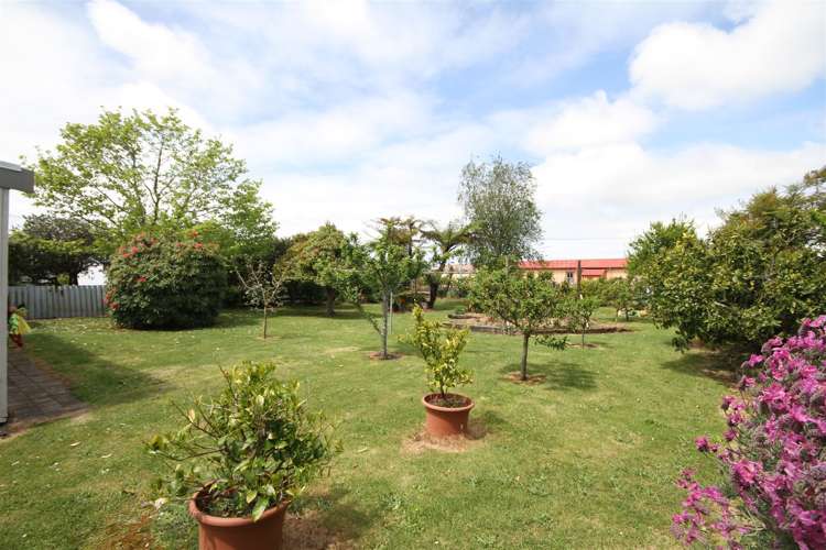 97 Consols Street Waihi_13