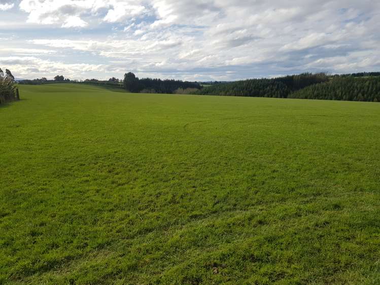 Hillend Road Balclutha_0