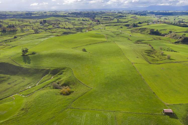 Piakonui Road Richmond Downs_17