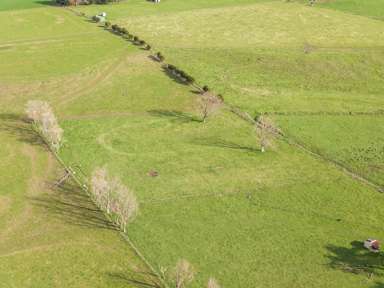 Lot 3, 116 Mangahao Road_3