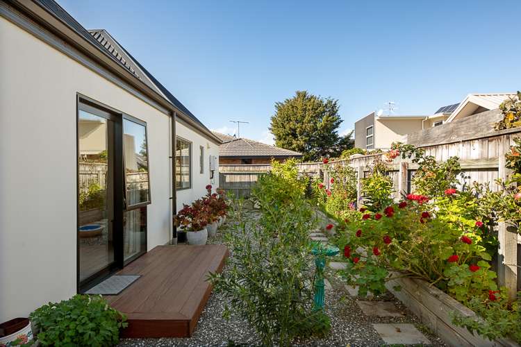 17 Dillon Street Blenheim_19