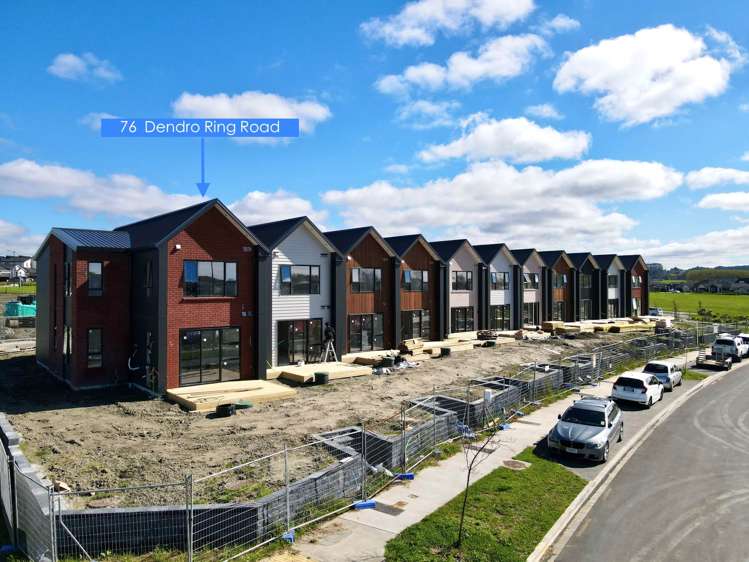 76 Dendro Ring Road_0